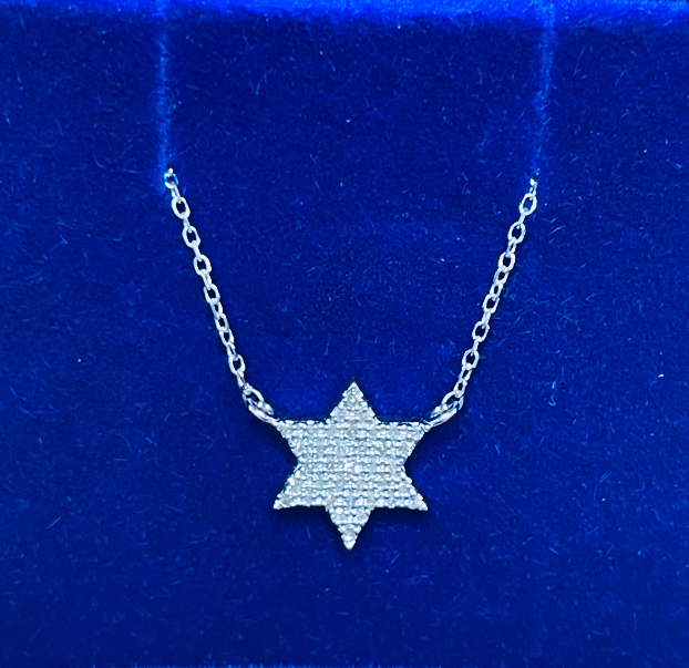 MINI Diamond Star of David in 14K Gold Necklace.